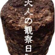 ヒメ日記 2026/04/16 10:35 投稿 七瀬ふうか ウフフな40。ムフフな50。。（横浜ハレ系）
