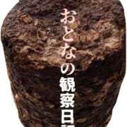 ヒメ日記 2026/04/17 22:21 投稿 七瀬ふうか ウフフな40。ムフフな50。。（横浜ハレ系）