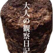 ヒメ日記 2026/04/26 11:22 投稿 七瀬ふうか ウフフな40。ムフフな50。。（横浜ハレ系）