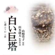 ヒメ日記 2026/05/31 09:01 投稿 七瀬ふうか ウフフな40。ムフフな50。。（横浜ハレ系）