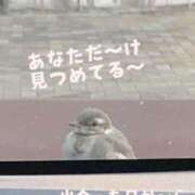 ヒメ日記 2026/06/17 11:15 投稿 七瀬ふうか ウフフな40。ムフフな50。。（横浜ハレ系）