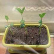 ヒメ日記 2026/07/11 00:46 投稿 七瀬ふうか ウフフな40。ムフフな50。。（横浜ハレ系）