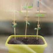 ヒメ日記 2026/07/12 12:47 投稿 七瀬ふうか ウフフな40。ムフフな50。。（横浜ハレ系）