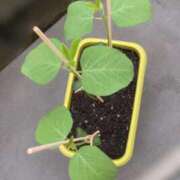 ヒメ日記 2026/07/13 12:12 投稿 七瀬ふうか ウフフな40。ムフフな50。。（横浜ハレ系）