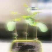 ヒメ日記 2026/07/15 12:28 投稿 七瀬ふうか ウフフな40。ムフフな50。。（横浜ハレ系）