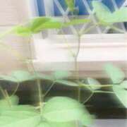 ヒメ日記 2026/07/24 20:56 投稿 七瀬ふうか ウフフな40。ムフフな50。。（横浜ハレ系）