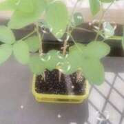 ヒメ日記 2026/07/25 12:07 投稿 七瀬ふうか ウフフな40。ムフフな50。。（横浜ハレ系）