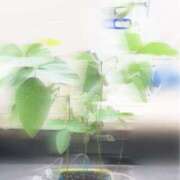 ヒメ日記 2026/08/11 11:02 投稿 七瀬ふうか ウフフな40。ムフフな50。。（横浜ハレ系）