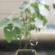 ヒメ日記 2026/08/13 12:00 投稿 七瀬ふうか ウフフな40。ムフフな50。。（横浜ハレ系）