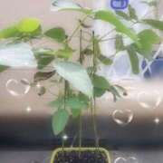 ヒメ日記 2026/08/15 09:56 投稿 七瀬ふうか ウフフな40。ムフフな50。。（横浜ハレ系）