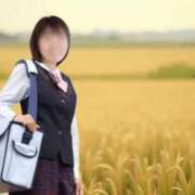 ヒメ日記 2026/09/14 14:28 投稿 七瀬ふうか ウフフな40。ムフフな50。。（横浜ハレ系）