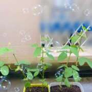 ヒメ日記 2026/09/23 13:13 投稿 七瀬ふうか ウフフな40。ムフフな50。。（横浜ハレ系）