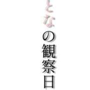 ヒメ日記 2026/10/03 14:25 投稿 七瀬ふうか ウフフな40。ムフフな50。。（横浜ハレ系）