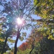 ヒメ日記 2026/10/07 10:58 投稿 七瀬ふうか ウフフな40。ムフフな50。。（横浜ハレ系）