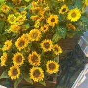 ヒメ日記 2025/07/31 15:14 投稿 真穂(まほ) PLUS難波店