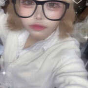 あお にゃん ナンバーゼロハチイチ