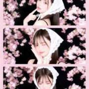 ヒメ日記 2026/04/25 11:01 投稿 遥うらら MAHARAJA(マハラジャ)千葉