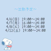 ヒメ日記 2025/04/06 08:08 投稿 せんな ハピネス＆ドリーム福岡