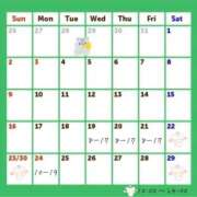 ヒメ日記 2025/11/15 12:08 投稿 せんな ハピネス＆ドリーム福岡