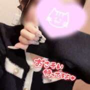 ヒメ日記 2026/03/31 12:33 投稿 つばさ ルーフ福井