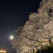 つばさ 🌸🌸🌸 ルーフ福井
