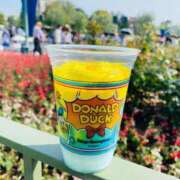 ヒメ日記 2025/06/19 13:03 投稿 みさき 40分7600円 回春性感メンズエステ猫の手 名古屋駅／納屋橋