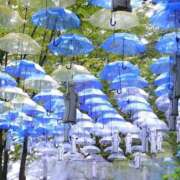 ヒメ日記 2026/02/25 13:33 投稿 みさき 40分7600円 回春性感メンズエステ猫の手 名古屋駅／納屋橋