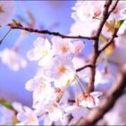 ヒメ日記 2026/02/22 19:03 投稿 みさき 40分7600円 回春性感メンズエステ猫の手 大垣／羽島