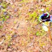 ヒメ日記 2026/02/24 11:53 投稿 みさき 40分7600円 回春性感メンズエステ猫の手 大垣／羽島