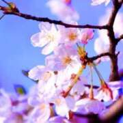 ヒメ日記 2026/03/01 11:53 投稿 みさき 40分7600円 回春性感メンズエステ猫の手 尾張一宮