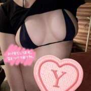 ヒメ日記 2025/04/15 18:36 投稿 ゆき 天空のマット　熊本店