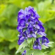 ヒメ日記 2025/06/14 12:42 投稿 にこ プラチナ