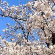 ヒメ日記 2025/04/04 22:21 投稿 めい カワサキEROTIC（ソープランド）