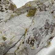 ヒメ日記 2025/04/17 07:00 投稿 めい カワサキEROTIC（ソープランド）