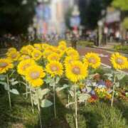 ヒメ日記 2025/04/20 20:02 投稿 めい カワサキEROTIC（ソープランド）