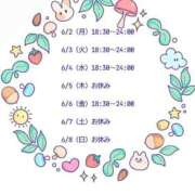 ヒメ日記 2025/06/04 12:00 投稿 めい カワサキEROTIC（ソープランド）