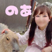 ヒメ日記 2026/04/08 09:39 投稿 のあ しゃぼんくらぶ一番館