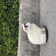 ヒメ日記 2025/04/04 18:45 投稿 天沢 池田マッサージ