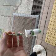 ヒメ日記 2025/05/03 11:27 投稿 天沢 池田マッサージ