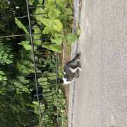 ヒメ日記 2025/05/12 18:22 投稿 天沢 池田マッサージ