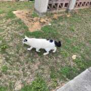 ヒメ日記 2025/11/22 23:54 投稿 天沢 池田マッサージ