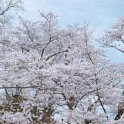 ヒメ日記 2025/04/12 09:44 投稿 けいと 熟女の風俗最終章 仙台店