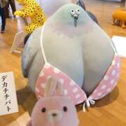 ヒメ日記 2026/09/12 22:14 投稿 みなみ「みなみ」 ピュアセレクラブ