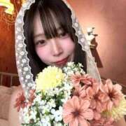 ヒメ日記 2025/11/18 17:05 投稿 にゃん【あ〇ちゃん激似SS級】 STELLA TOKYO－ステラトウキョウ－