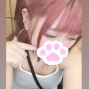 ヒメ日記 2025/09/05 03:09 投稿 とちひめ サティアンまーと