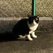 ヒメ日記 2025/09/08 11:26 投稿 かなえ〔VIP〕対応 aQua～アクア～（金津園）