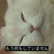 ヒメ日記 2026/06/10 23:09 投稿 りか Club S