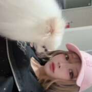 ヒメ日記 2026/10/11 17:01 投稿 りか Club S