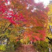 立花まいか 紅葉 洗体アカスリとHなスパのお店