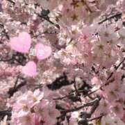 ヒメ日記 2025/04/08 14:03 投稿 里沙（りさ） NOA（ノア）